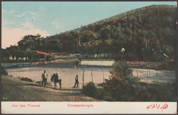 Printed glazed colour postcard showing a view of the Iles des Princes, the Dias Kelos and Prinkipo at Constantinople in Turkey.

Published by F.A.C., No 6, c.1905-10.

Postally unused.

Good condition, with some corner bumps.