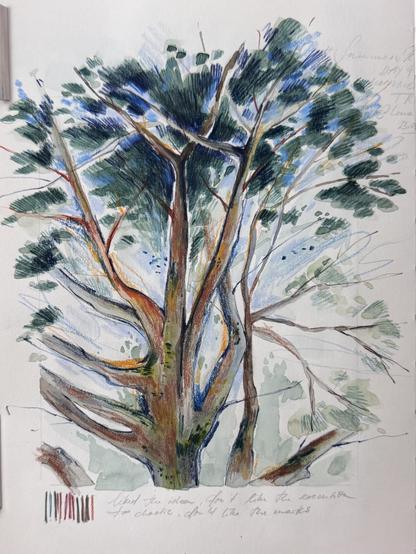 A vibrant mixed media and coloured pencil illustration of a tree, showcasing its detailed branches and foliage with various shades of green, brown, and blue. The background features light washes of color, and handwritten notes are visible at the bottom.
