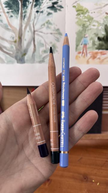 An open palm holding three well loved and used colored pencils: a light blue one, a dark green one and a teeny tiny dark blue one.  In the background, there is a partially visible the sketchbook with both the paintings in an earlier stage with just the watercolour washes.