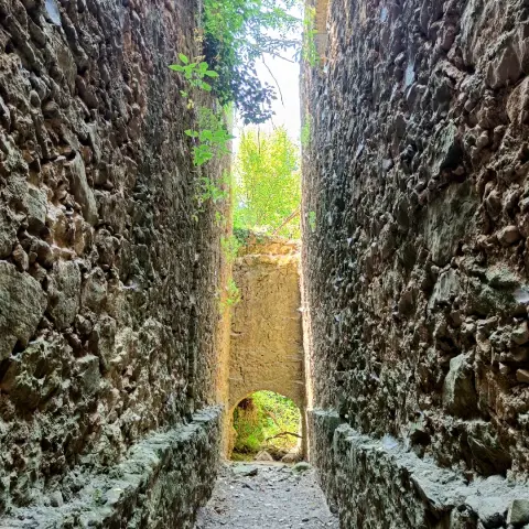 Sur les berges de l'Hérault