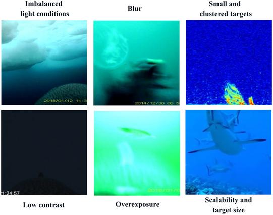 Examples of challenges encountered in image-based bio-logging (both camera and microsonar tags): Imbalanced light conditions, low contrast, blur, overexposure, small and clustered targets, scalability and target size