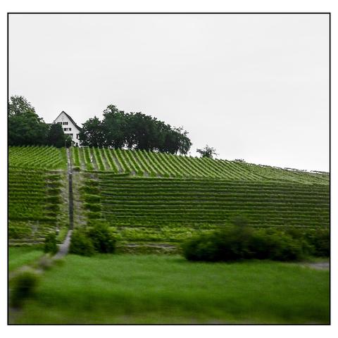 a hill with a vineyard. a white house on the top left, in focus, against a bleached out sky. the hill has various shades of green, the lower the more motion blur. the vineyard forms horizontal and vertical lines