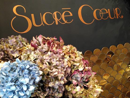 Recherchons une serveuse ou un serveur pour un salon de thé situé au 21, rue Custine à Paris. Bonne ambiance, très bonne équipe, lieu de travail sympathique, et cuisine sans gluten délicieuse.

Si ça vous intéresse, sollicitez-moi en privé, ou venez directement vous présenter chez Sucré Coeur ou chez Maya.

Et si vous le voulez bien, faites tourner !

#jerecrute #paris #job #travail #emploi #serveur #barista