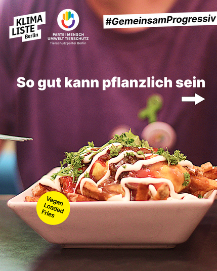 Foto von Veganen Loaded Fries mit Schrift "So gut kann pflanzlich sein"