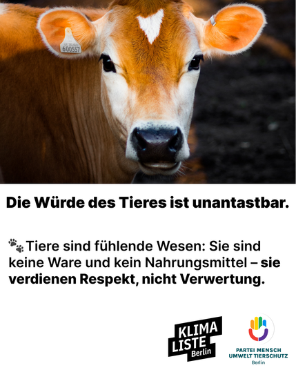 Die Würde des Tieres ist unantastbar