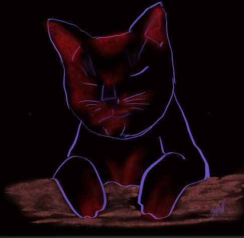 Digital sketch in purple and red of a black cat on a black background