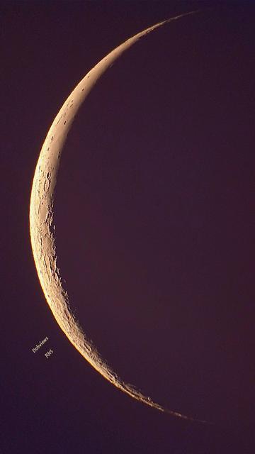 Morning skies offered up a mauve red sky with an off-white crescent moon shining in contrast. Detail of the moon's surface is easily viewed offering a great view of the surface. The top of the moon within the Ocean of Storms is smoother than the rough highlands at the bottom.