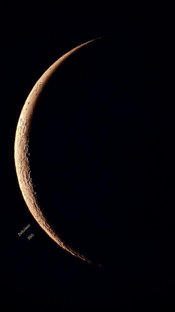 Before the sun has had a chance to rise the crescent moon is set against the black sky at about 5:00AM. Detail of the moon's surface shows the surface clearly.