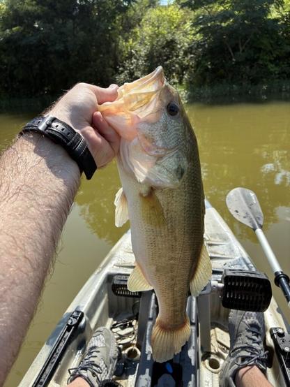 My first bigg’n in a Kayak
