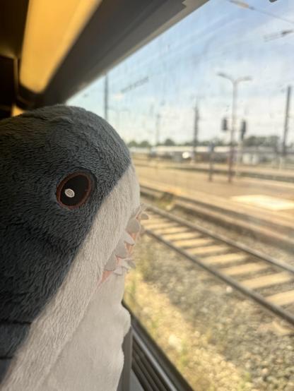 A Blåhaj is looking out of the window in a French TGV train.