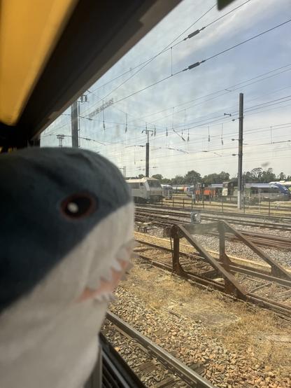 Blåhaj guckt raus auf eine Abstellanlage, zu sehen sind diverse Loks usw.