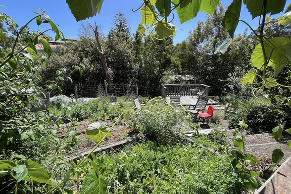 photo from google maps: a wide view of the healthy, green garden outside, enclosed within SOURCE.
