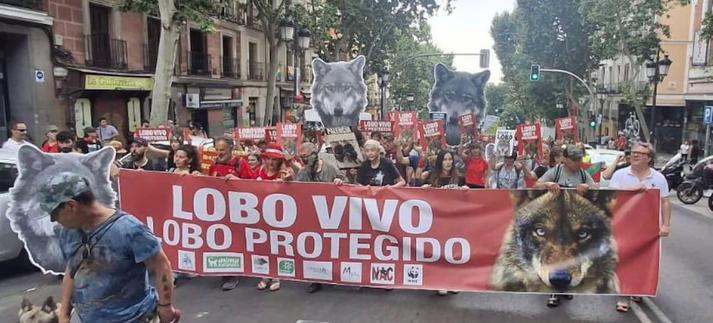 Cabecera de la manifestación en defensa del lobo.
