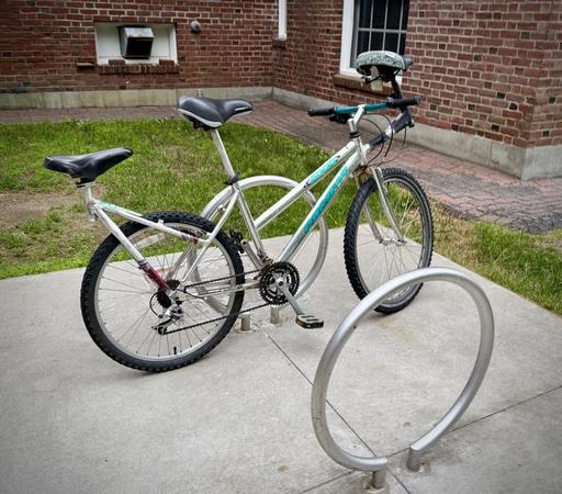 an old mt bike that’s had some fabrication and welding to add a couple extra seats: one way in the back half of it past end of wheel and then the other one sticking out in front of and above the handlebars. In order to add the back seat they removed the rim brakes, so now you have 3 people perched precariously and only front brakes.