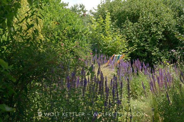 In the foreground of this photograph borders densely planted with flowering perennials. Predominant colour is blue. In the background shrubs and trees. In the middle distance, the top of the backrest of a deckchair is visible. It is a sunny day in the garden.