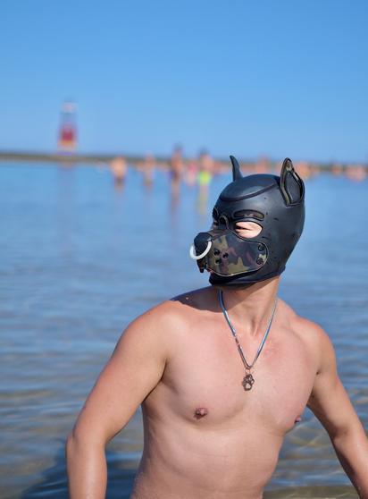 A human dog hooded in a black/camo Mr S neoprene pup hood stands in the clear water of Lake Michigan with the famous rainbow lighthouse (now adorned with “GAZA”) standing behind.