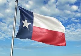 Texas State Flag