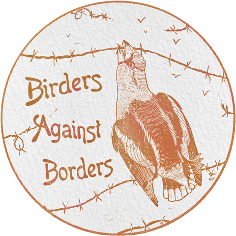 Vintage-style illustration in orange tones. A hawfinch is cutting barbed wire with its beak. A text reads "Birders against borders"