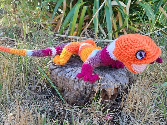 Salamandre au crochet, bouche ouverte : alternances de bandes orange foncé, orange clair, blanc, violet clair, violet.