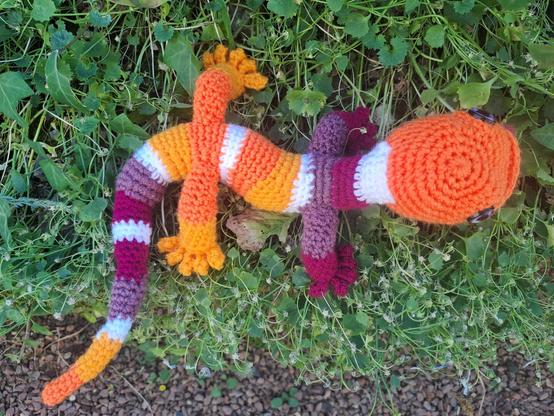 Salamandre au crochet, bouche ouverte : alternances de bandes orange foncé, orange clair, blanc, violet clair, violet. Vue sur le dessus, montrant sa forme sinueuse.