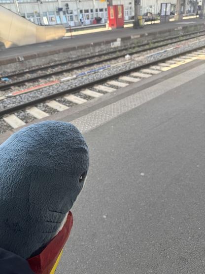 A Blåhaj is in a rainbow bag from IKEA, we are waiting for our train to Basel.