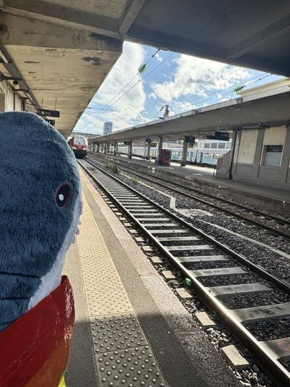 Gleiches Bild, nur jetzt kommt ein Zug an den Bahnsteig gerollt.
