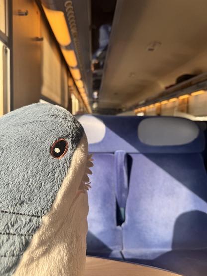 Ein Blåhaj in einem französischen Corail-Wagen als TER nach Basel SBB.