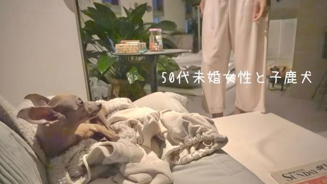 50代、未婚、子なし。喧嘩をした夜、息子との静かで幸せな時間を取り戻す初夏の週末【ミニピン】