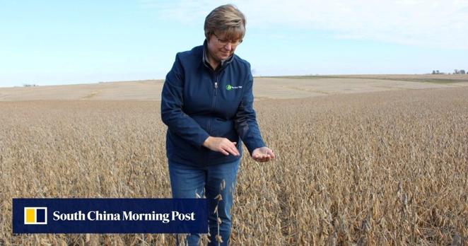 US farmers face tough outlook as China switches suppliers amid trade war
