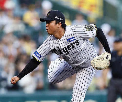 阪神村上頌樹（2025年6月20日撮影）