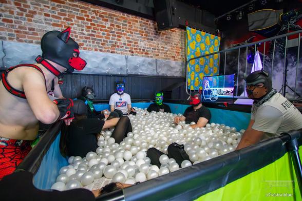 Picture of a ball pit with a number of puppies sat in it.