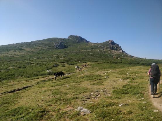 Photo d'un cheval et Cÿcÿ qui marche sur une montagne