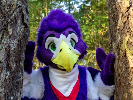 A photo of an eagle fursuit peeking between two trees