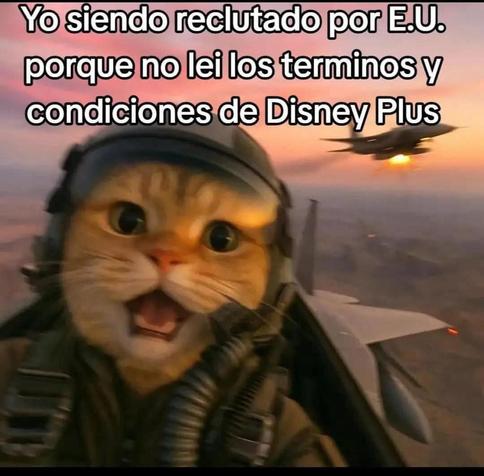 Un gato naranja con un casco de piloto está en la cabina de un avión de combate, con una expresión de sorpresa y boca abierta. Al fondo, se ven otros aviones y un atardecer. En la parte superior, un texto en español dice: "Yo siendo reclutado por E.U. porque no leí los términos y condiciones de Disney Plus", lo cual es un meme que sugiere que las condiciones de servicio de Disney Plus son tan complicadas como ser reclutado por el ejército estadounidense.