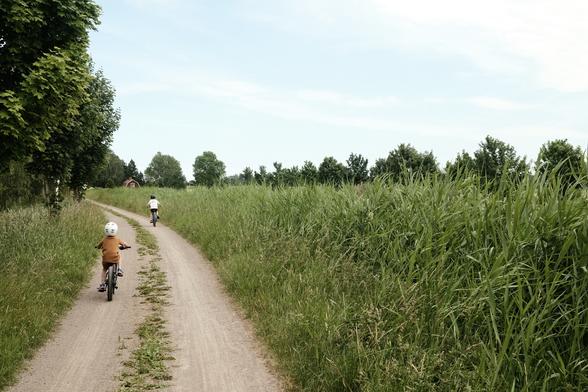 Two children riding bicycles along a dirt path surrounded by tall grass and trees. A small red house is visible in the background. The sky is partly cloudy.