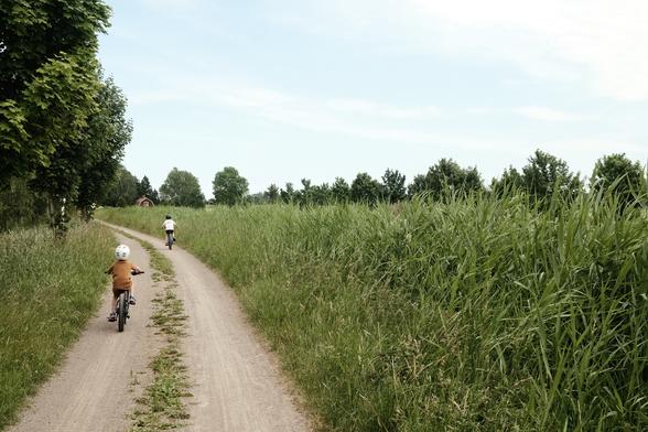 Two children riding bicycles along a dirt path surrounded by tall grass and trees. A small red house is visible in the background. The sky is partly cloudy.