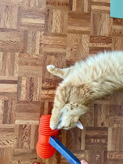 An orange plastic hammer is being used on a fuzzy, light brown cat, who is walking on a wooden floor. The image focuses on the cat's back and the grooming tool held by a hand.