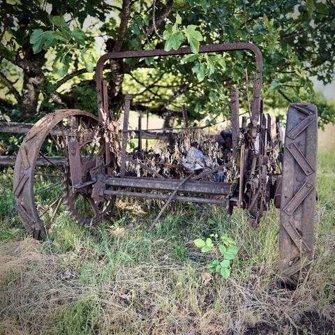 An old, rusty tractor sits under the shade of a tree, its internals completely stripped out and replaced with a few broken pieces of lumber.