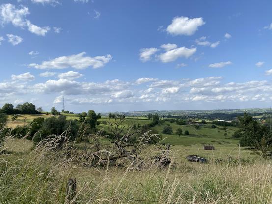 Blick übers Herver Land mit Streuobstwiesen