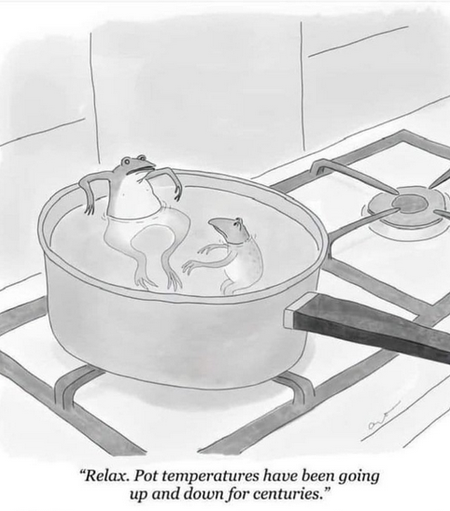 a cartoon shows two frogs sitting in a pot of water on a stove. One frog looks relaxed, leaning back with arms behind its head, while the other appears alarmed. The relaxed frog says, “Relax. Pot temperatures have been going up and down for centuries.” The cartoon is a satirical take on the boiling frog metaphor, commenting on complacency in the face of the current ecological collapse