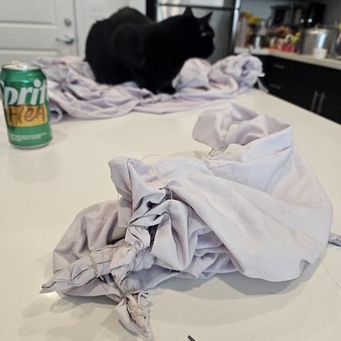 in the foreground, a pale purple fabric bound a bunch of time with string sitting on a white island counter; in the background, a black cat sits on more pale purple fabric