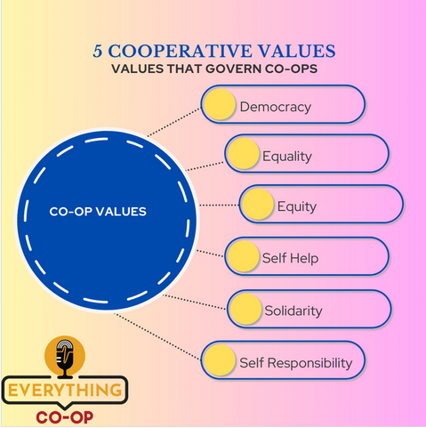 5 cooperative values
