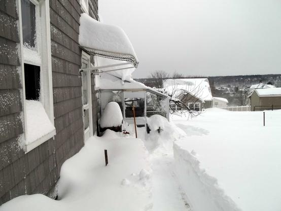 Looking along the side of a grey house with a small greenhouse attached.  There is about 2 feet (60cm) of heavy snow covering everything.  The sidewalk is partially cleared, but more snow is blowing in.  Grey, overcast sky.
