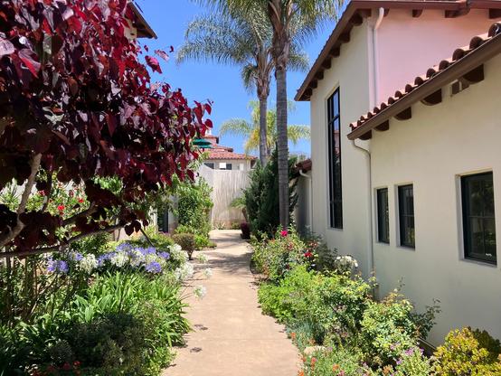 A sunny pathway lined with vibrant flowers and greenery, flanked by charming buildings. A red-leafed tree is prominent, and palm trees are visible in the background against a clear blue sky.