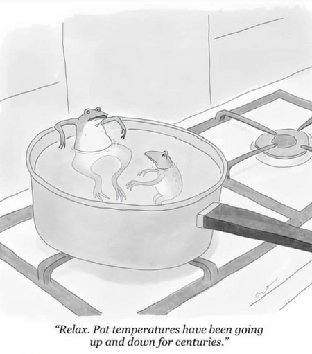 Black-and-white cartoon depicting two frogs sitting in a saucepan of water on a stovetop—one frog lounges calmly against the pot’s rim while the other looks anxious. Below the image is the caption: “Relax. Pot temperatures have been going up and down for centuries.”