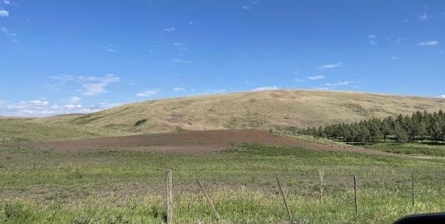 Dry field in Wallowa County, Oregon, June 16, 2025.