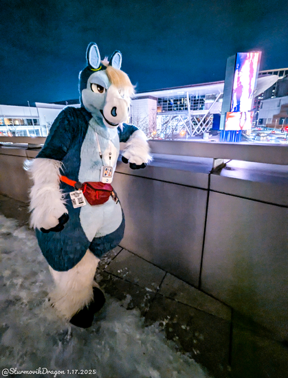 This is a photograph of a blue pegasus fursuiter standing on a balcony of the Anthro New England Westin on a frigid Boston night back in January, with the convention center in the background and a layer of packed snow under his feet. He's resting his left arm slightly on the railing and looking towards the camera.