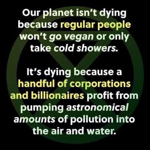Our planet isn‘t dying because regular people won'’t go vegan or only take cold showers.

It's dying because a handful of corporations and billionaires profit from pumping astronomical amounts of pollution into the air and water.