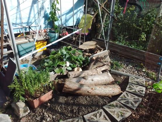 Additional material piled up inside the curved path and atop of the raised bed in the unfinished greenhouse extension