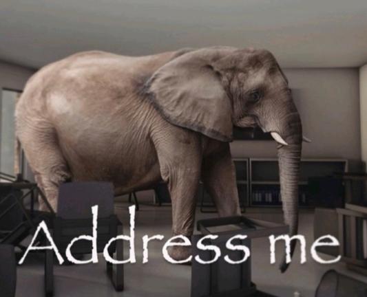 And Elephant. Words reads: “address me”